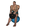 Anterior Raise - Fitness Ball Forward Plate